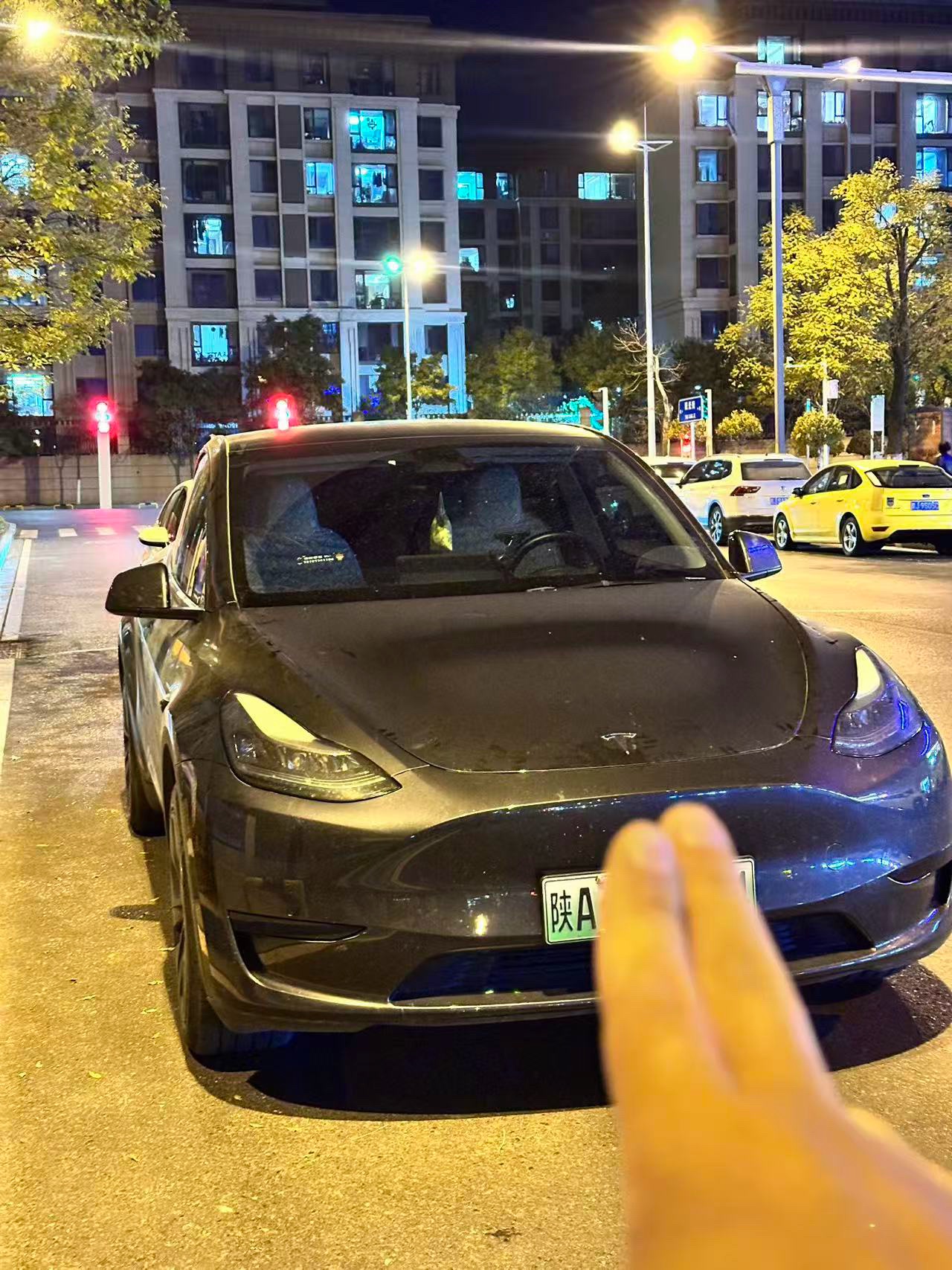 Tesla Model Y 2024 #2 Tesla Model Y 2024 car image #2