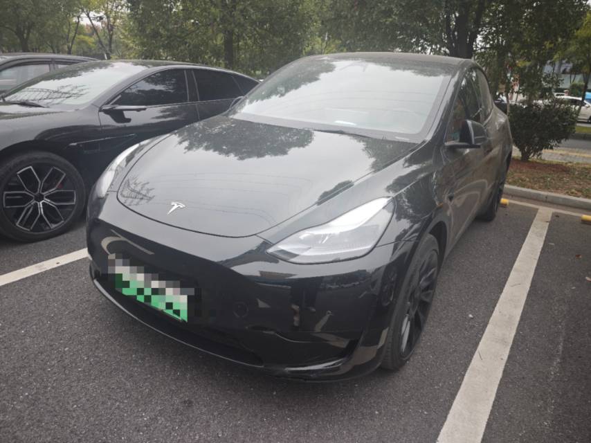Tesla Model Y 2023 car image 