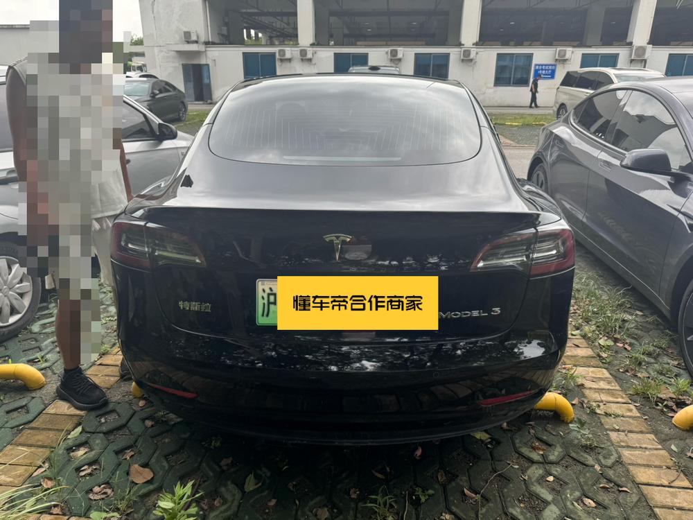 Tesla Model 3 2020 car image #4