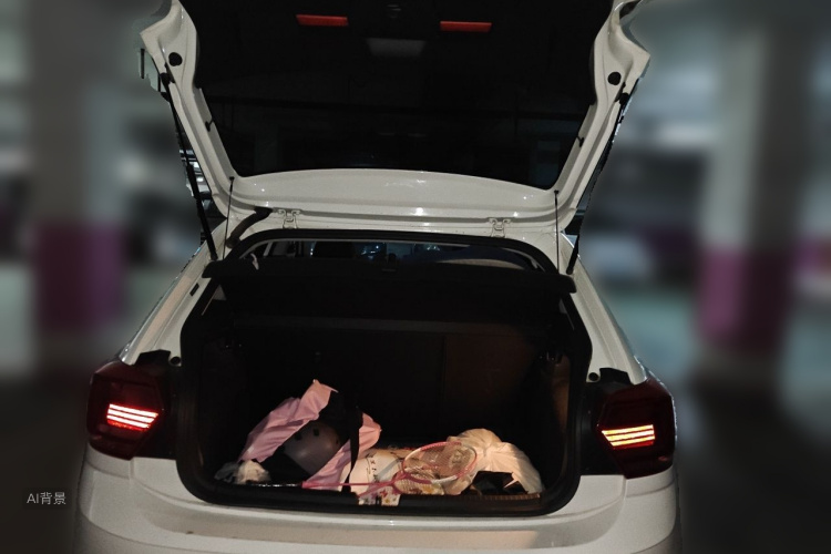 Volkswagen Polo 2020 car image #21