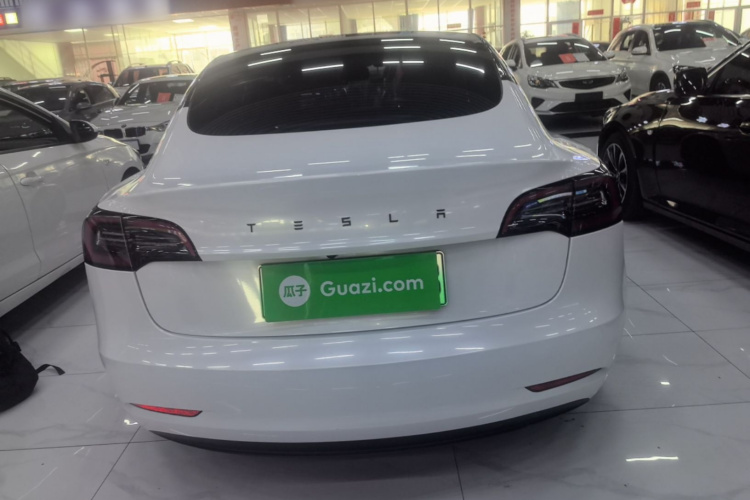 Tesla Model 3 2022 car image #6