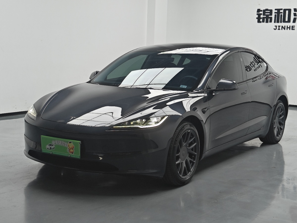 Tesla Model 3 2024 Tesla Model 3 2024 car image