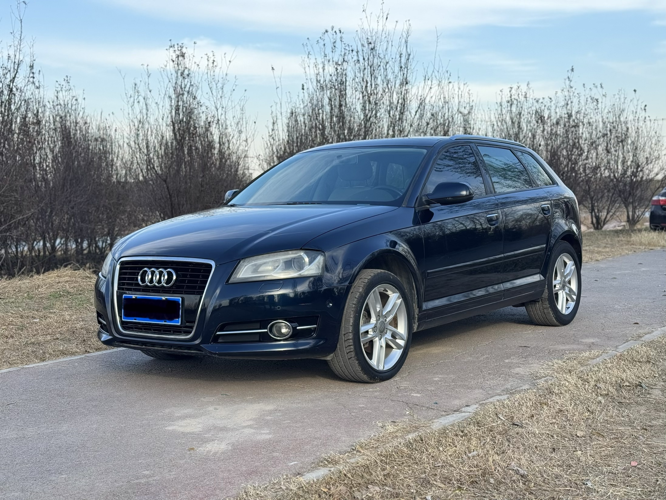 Audi A3 (Imported) 2012 Audi A3 (Imported) 2012 imagen de coche