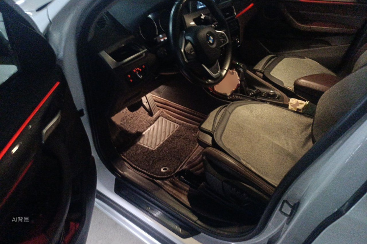 BMW X1 2018 car image #18