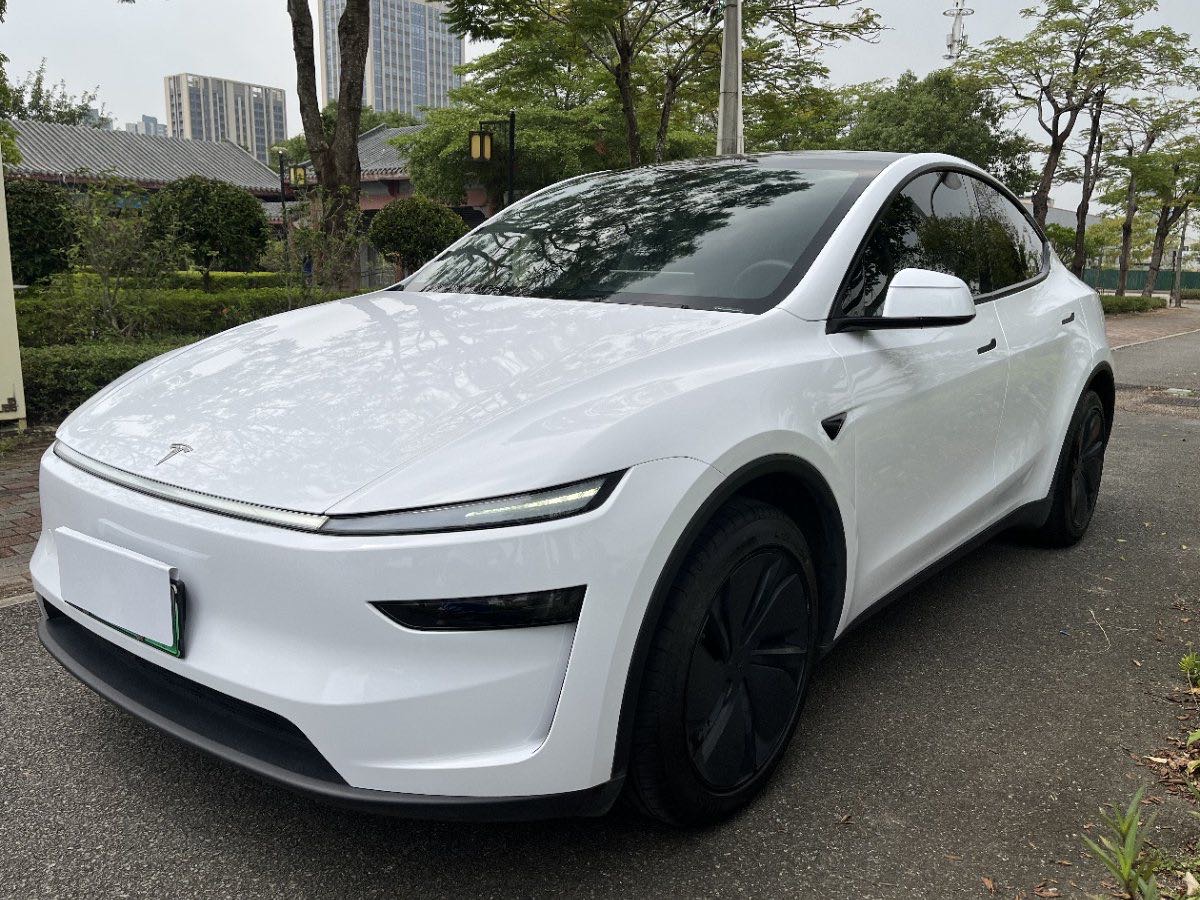 Tesla Model Y 2025 Tesla Model Y 2025 car image