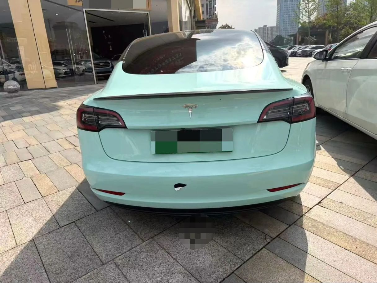 Tesla Model 3 2022 car image #5