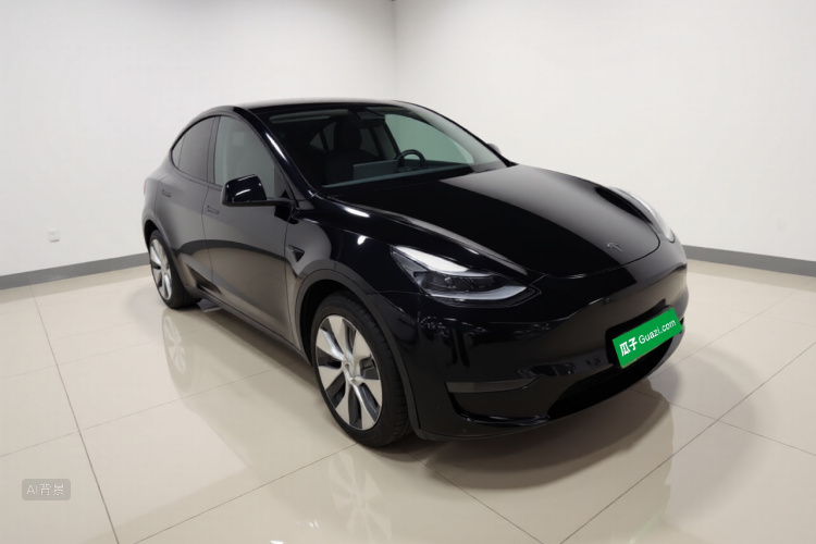 Tesla Model Y 2021 #4 Tesla Model Y 2021 car image #4