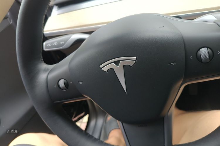 Tesla Model Y 2021 #10 Tesla Model Y 2021 car image #10