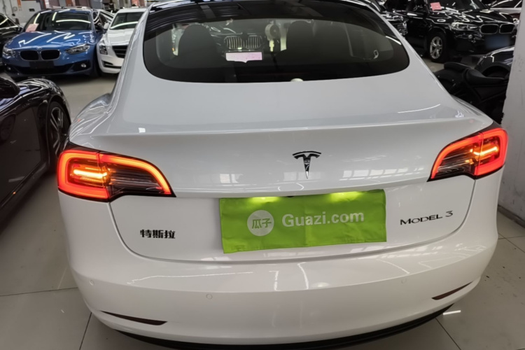 Tesla Model 3 2021 #6 Tesla Model 3 2021 car image #6