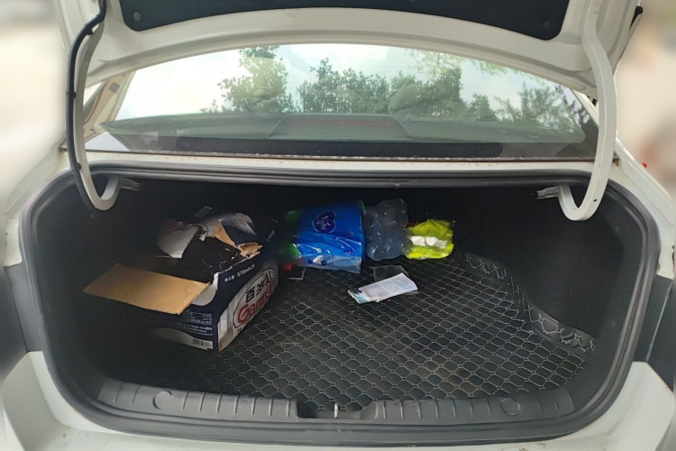 GEELY Emgrand GL 2021 car image #17