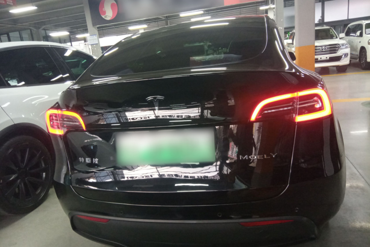 Tesla Model Y 2023 #6 Tesla Model Y 2023 car image #6