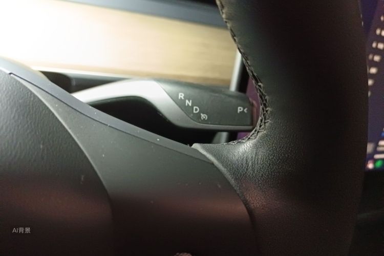 Tesla Model 3 2022 car image #16