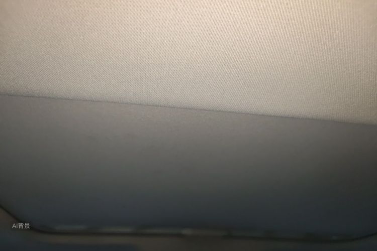 Volkswagen Bora 2020 car image #20