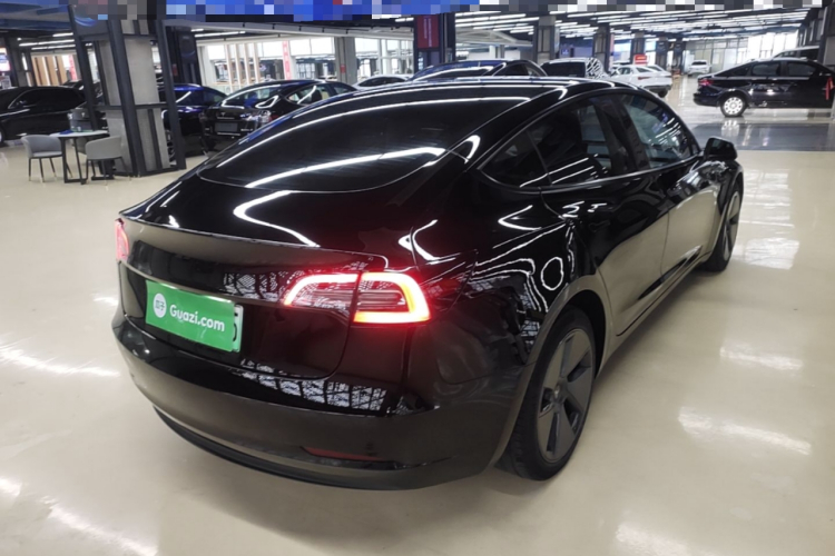 Tesla Model 3 2021 #7 Tesla Model 3 2021 car image #7