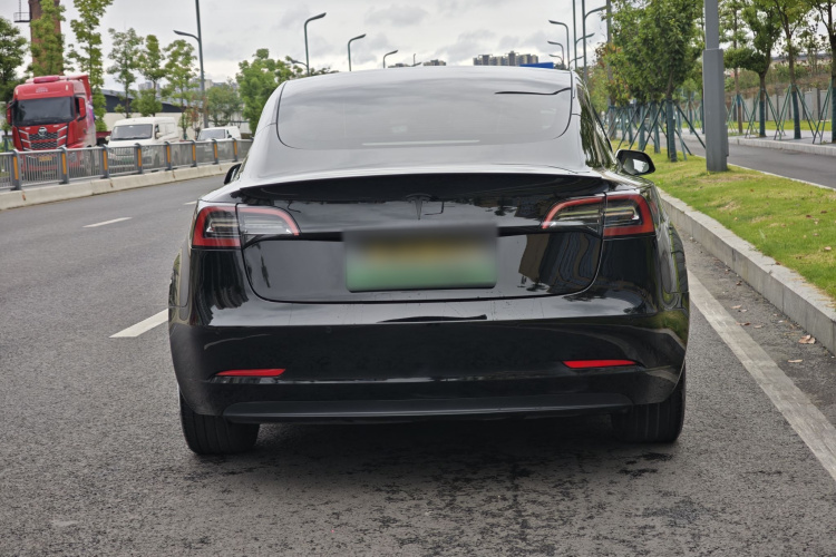 Tesla Model 3 2023 #9 Tesla Model 3 2023 car image #9
