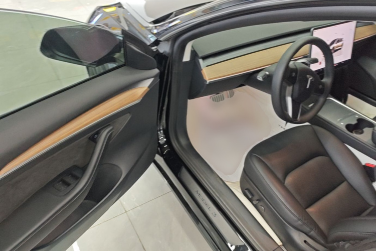 Tesla Model 3 2022 car image #16