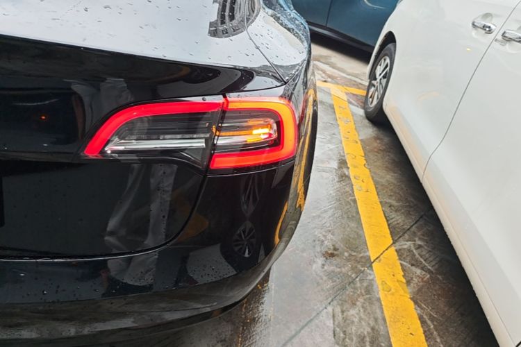 Tesla Model 3 2020 car image #8