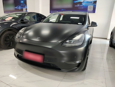 Tesla Model Y 2021 Tesla Model Y 2021 car image