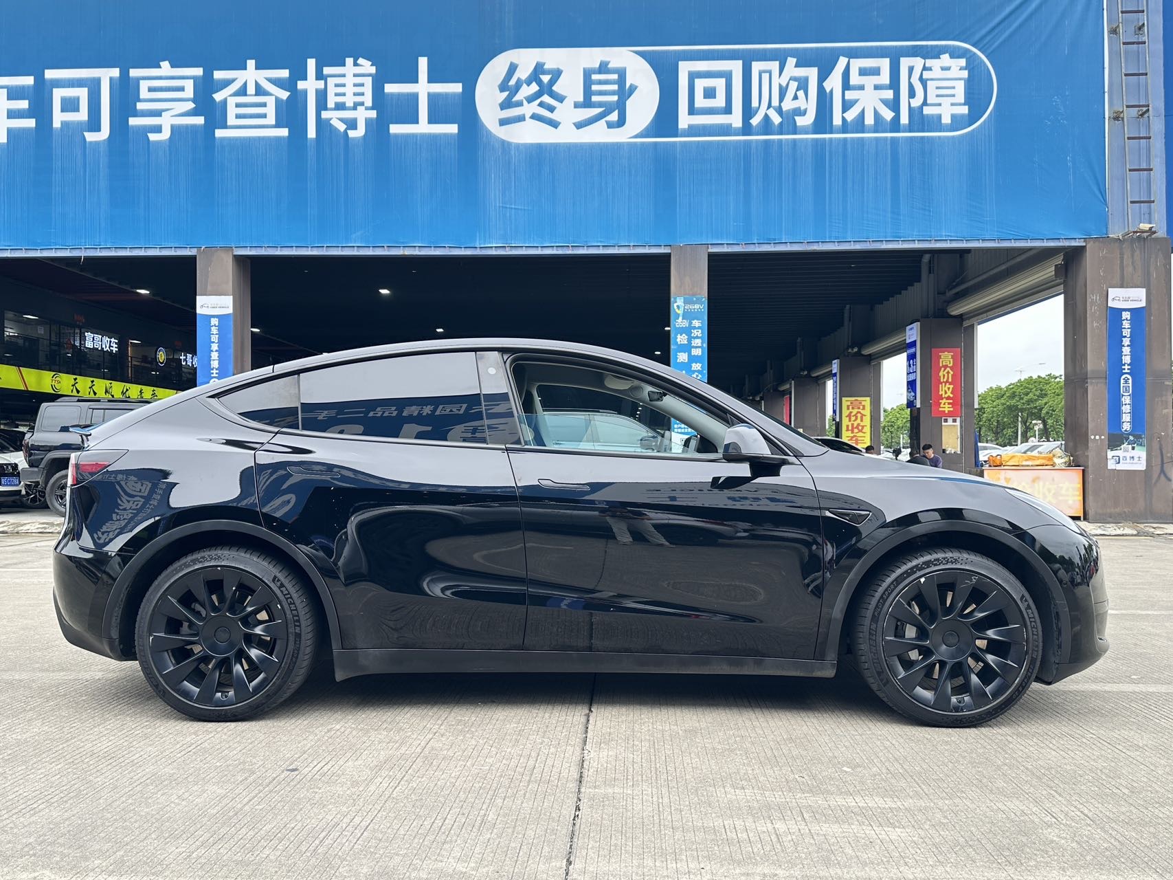 Tesla Model Y 2023 #8 Tesla Model Y 2023 car image #8