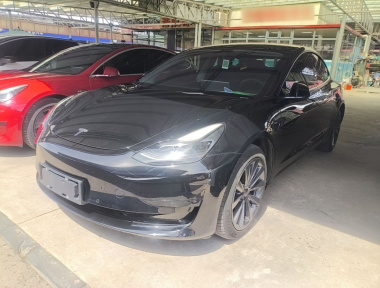 Tesla Model 3 2021 Tesla Model 3 2021 car image
