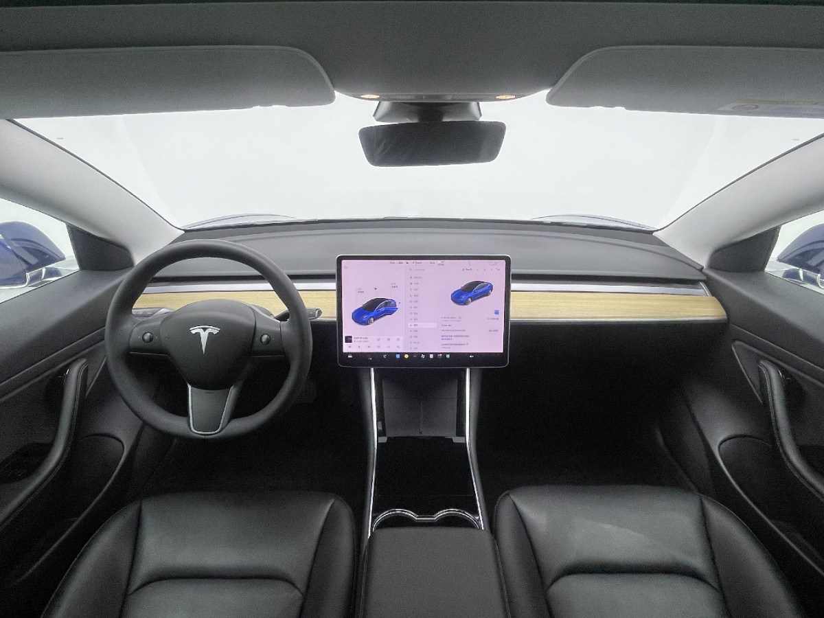 Tesla Model 3 2020 car image #5