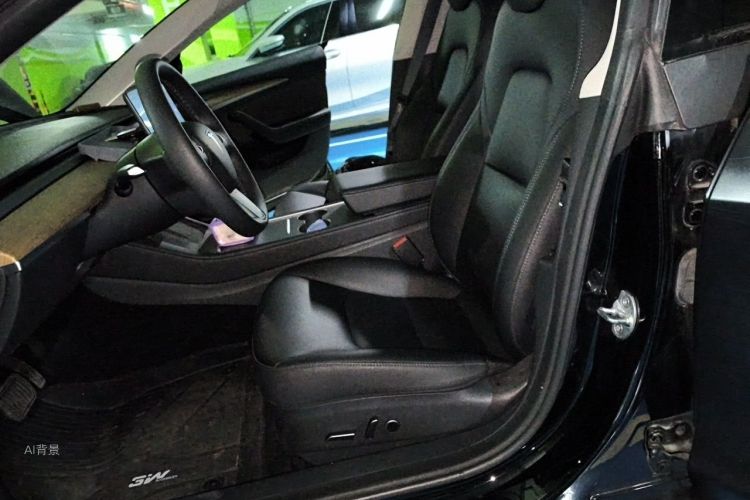 Tesla Model 3 2022 #17 Tesla Model 3 2022 صورة سيارة #17