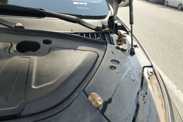 BYD Yuan Plus 2023 car image #29