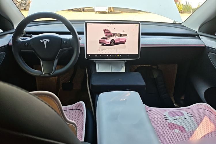 Tesla Model Y 2023 immagine di auto #10