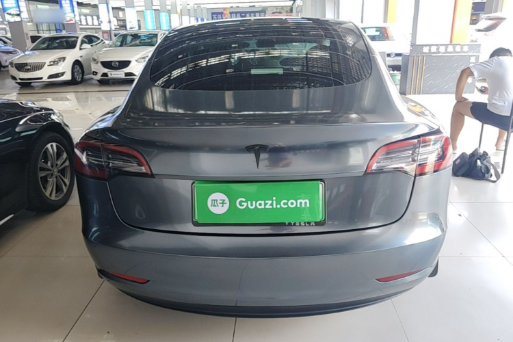 Tesla Model 3 2021 #4 Tesla Model 3 2021 immagine di auto #4