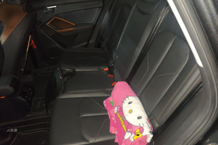 Audi Q3 2020 car image #19
