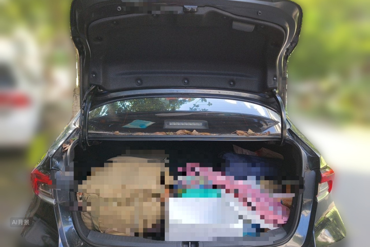 Toyota Corolla 2020 car image #21