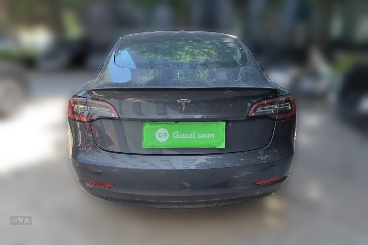 Tesla Model 3 2021 car image #6