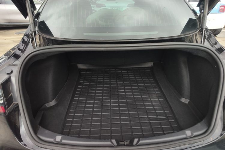 Tesla Model 3 2020 #18 Tesla Model 3 2020 car image #18