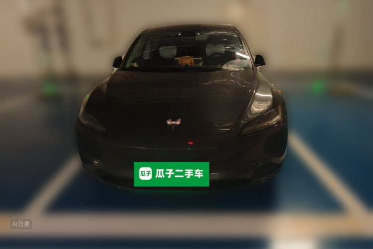 Tesla Model 3 2024 car image #3