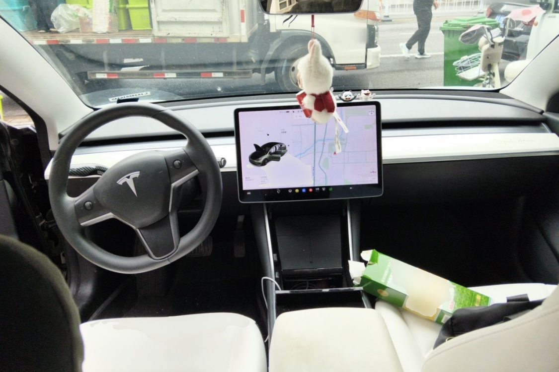 Tesla Model 3 2020 car image #21