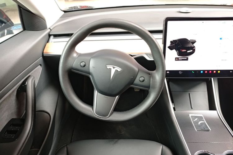 Tesla Model 3 2020 immagine di auto #11