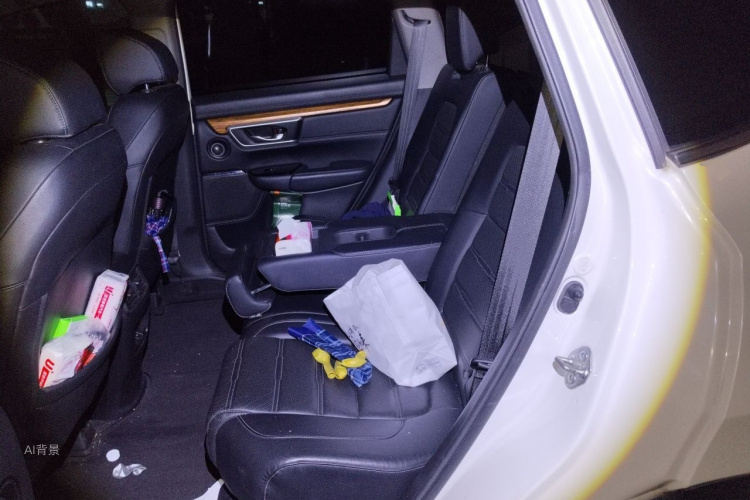 Honda CR-V 2019 car image #19