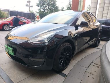 Tesla Model Y 2023 Tesla Model Y 2023 car image