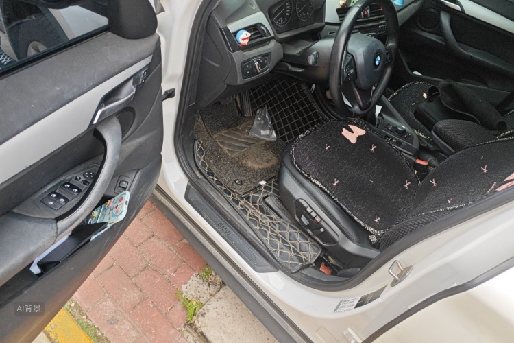 BMW X1 2017 #18 BMW X1 2017 car image #18