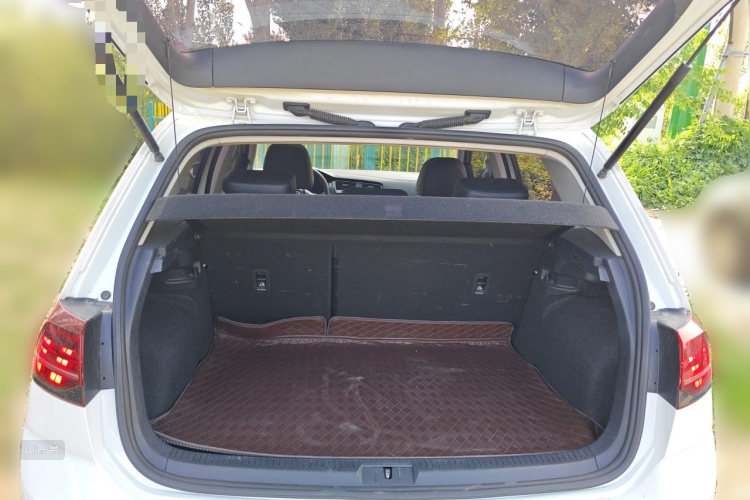 Volkswagen Golf 2020 car image #21