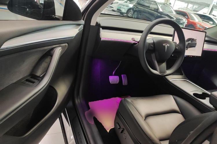 Tesla Model Y 2024 car image #16