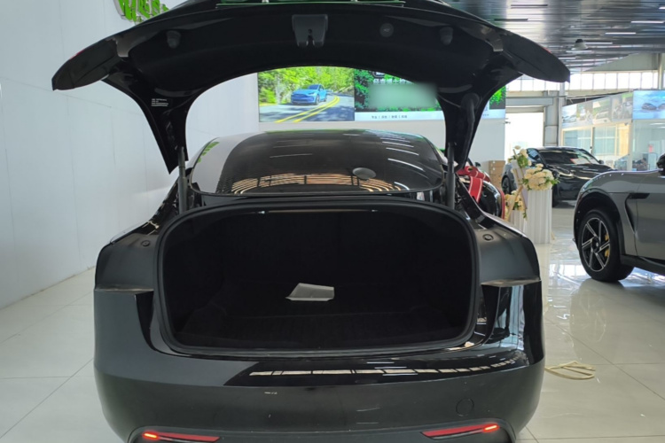Tesla Model 3 2024 #19 Tesla Model 3 2024 car image #19