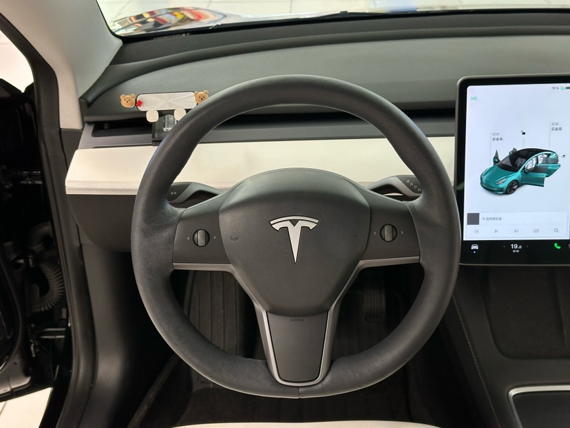 Tesla Model 3 2021 car image #5