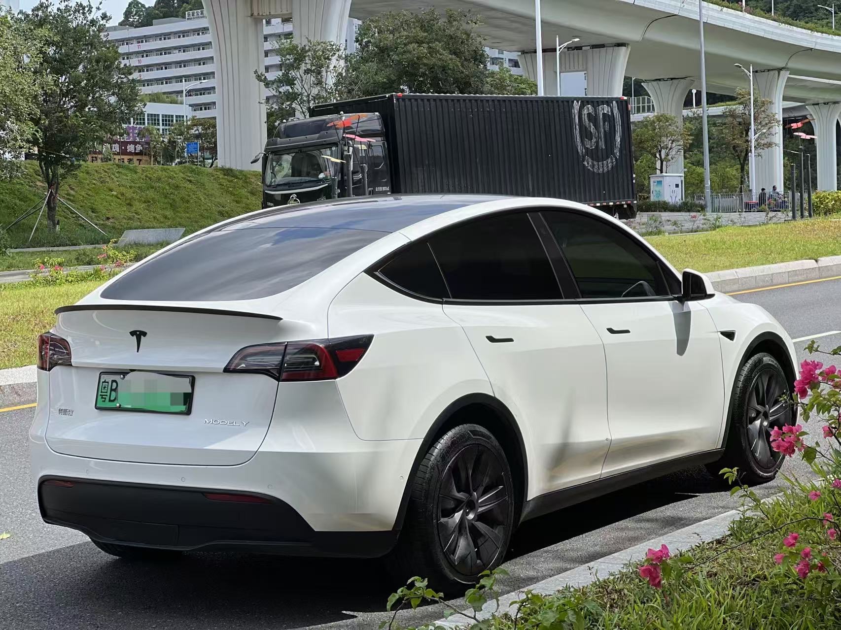 Tesla Model Y 2021 car image #6