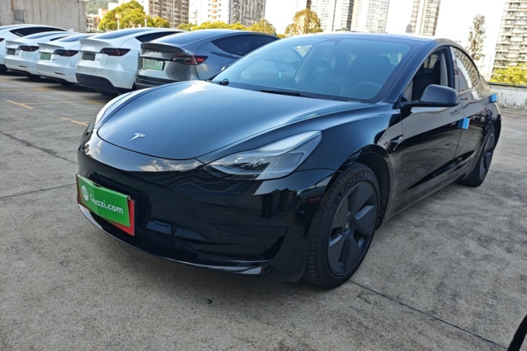 Tesla Model 3 2023 #2 Tesla Model 3 2023 car image #2