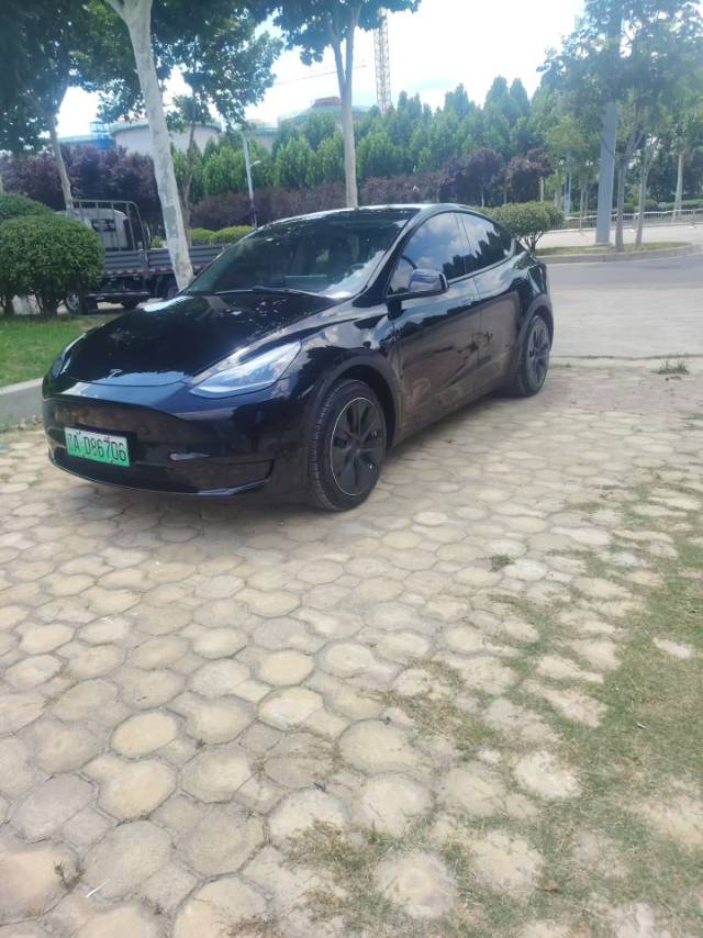 Tesla Model Y 2023 car image 