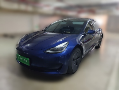 Tesla Model 3 2021 Tesla Model 3 2021 car image