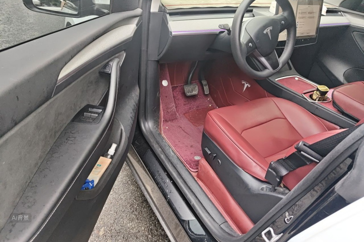 Tesla Model Y 2023 car image #18
