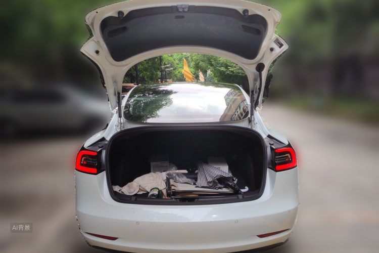 Tesla Model 3 2020 #21 Tesla Model 3 2020 car image #21