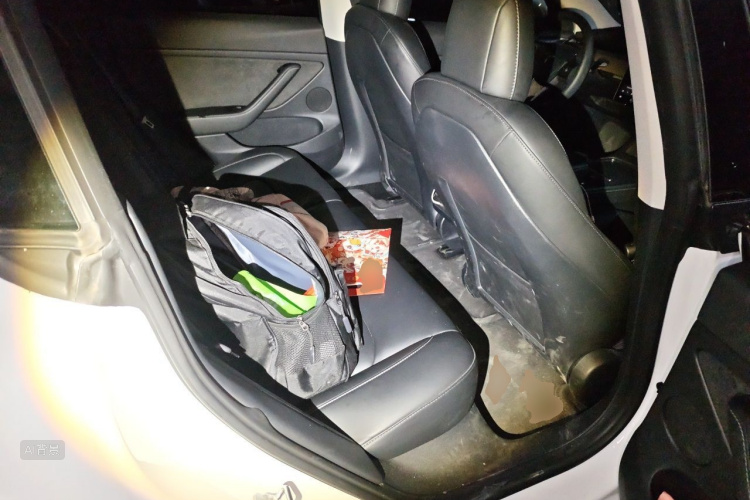 Tesla Model 3 2021 car image #19